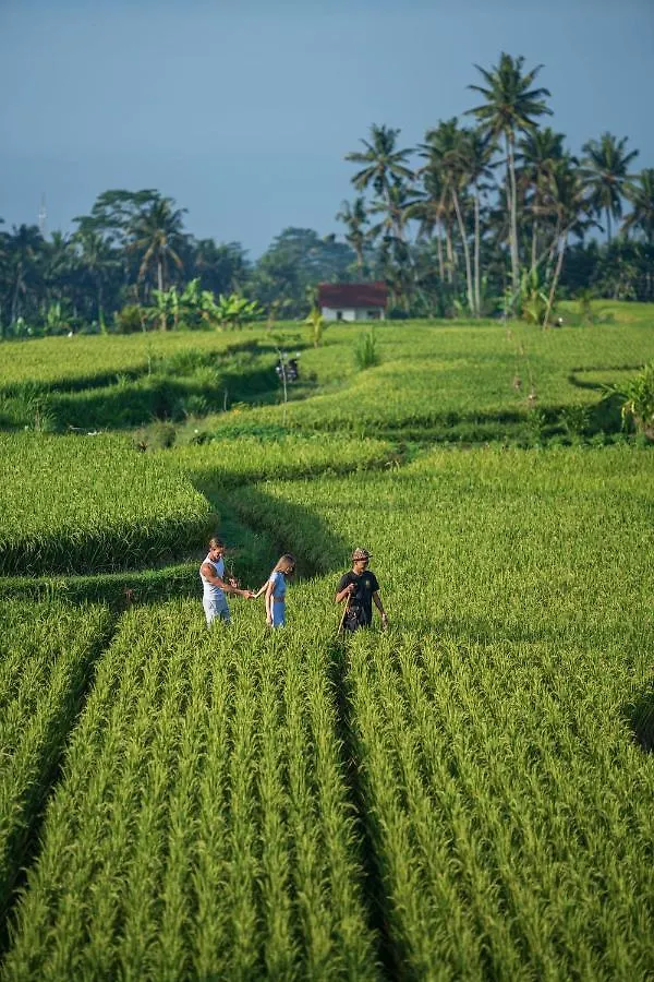 The Sun Of Granary Resort And Villas Ubud   Ubud (Bali)