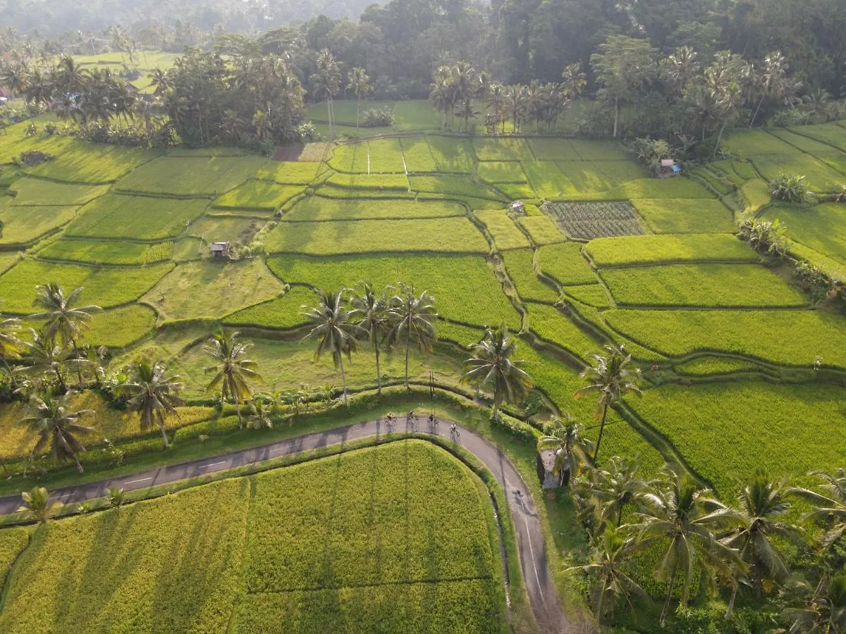 The Sun Of Granary Resort And Villas Ubud  Ubud (Bali)