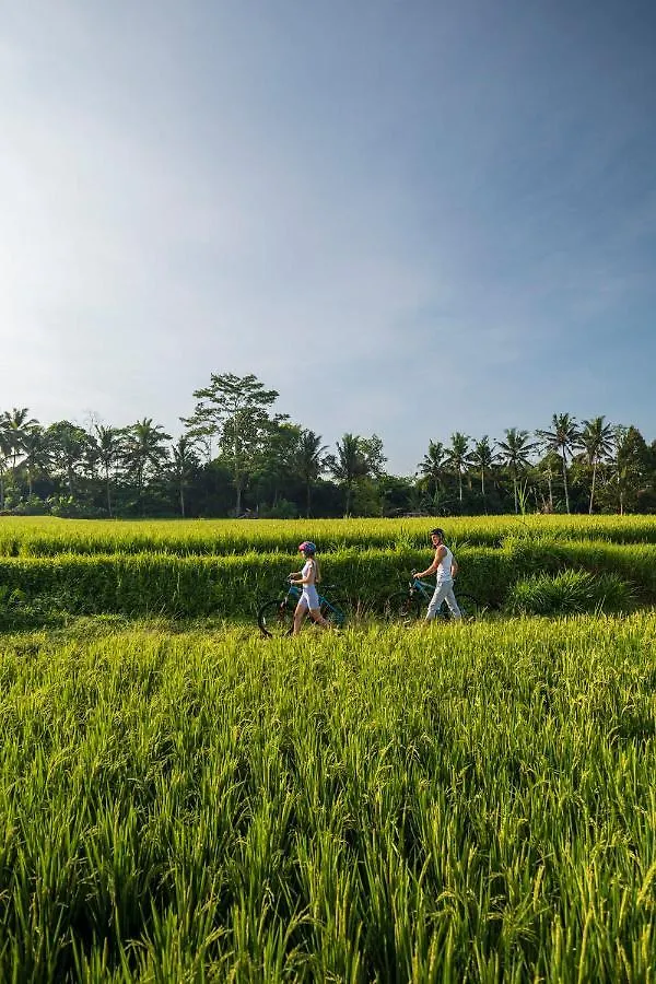 The Sun Of Granary Resort And Villas Ubud