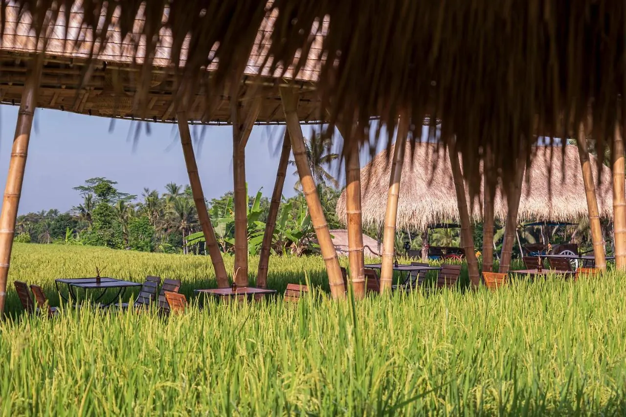 The Sun Of Granary Resort And Villas Ubud